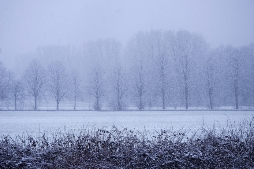 漂亮的冬季皑皑白雪风景图片大全